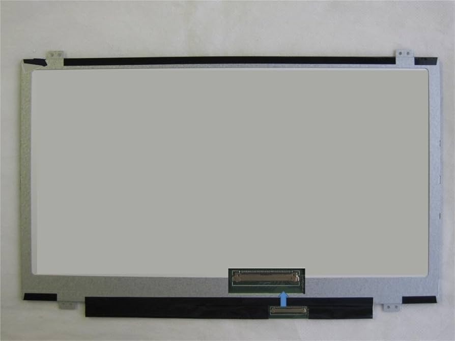 PMSCR0174.3