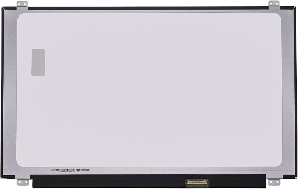 PMSCR0269.3