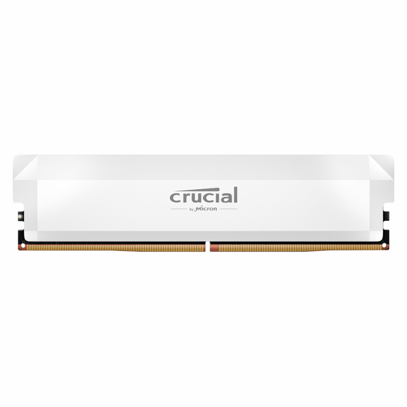 CP16G60C36U5W_wr_01.jpg